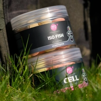 Mainline Fluoro Wafters 15mm